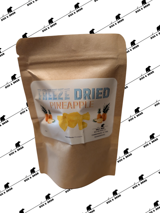 Freeze Dried Pineapple