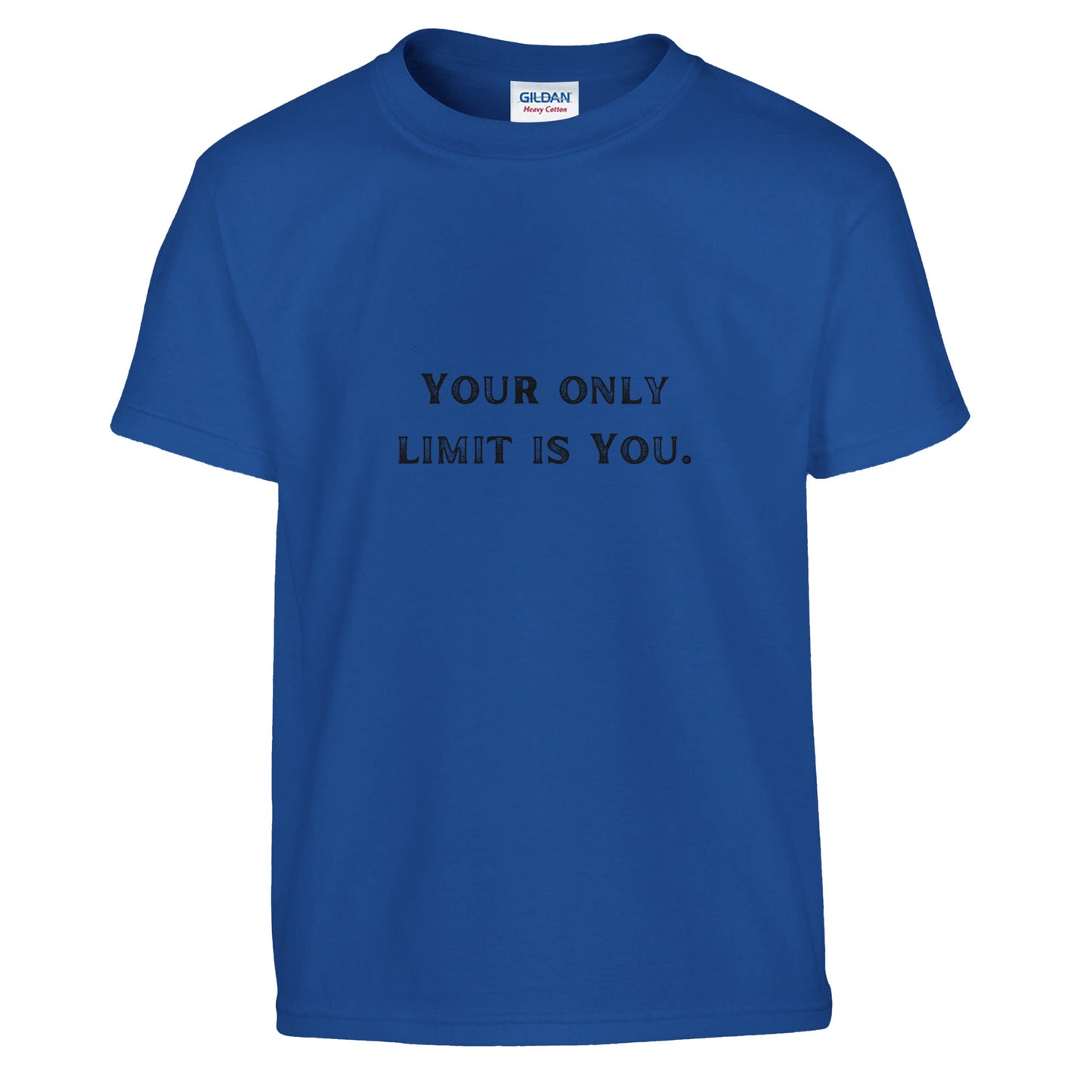 d97b3668-83de-4911-9c69-a7d319f73494